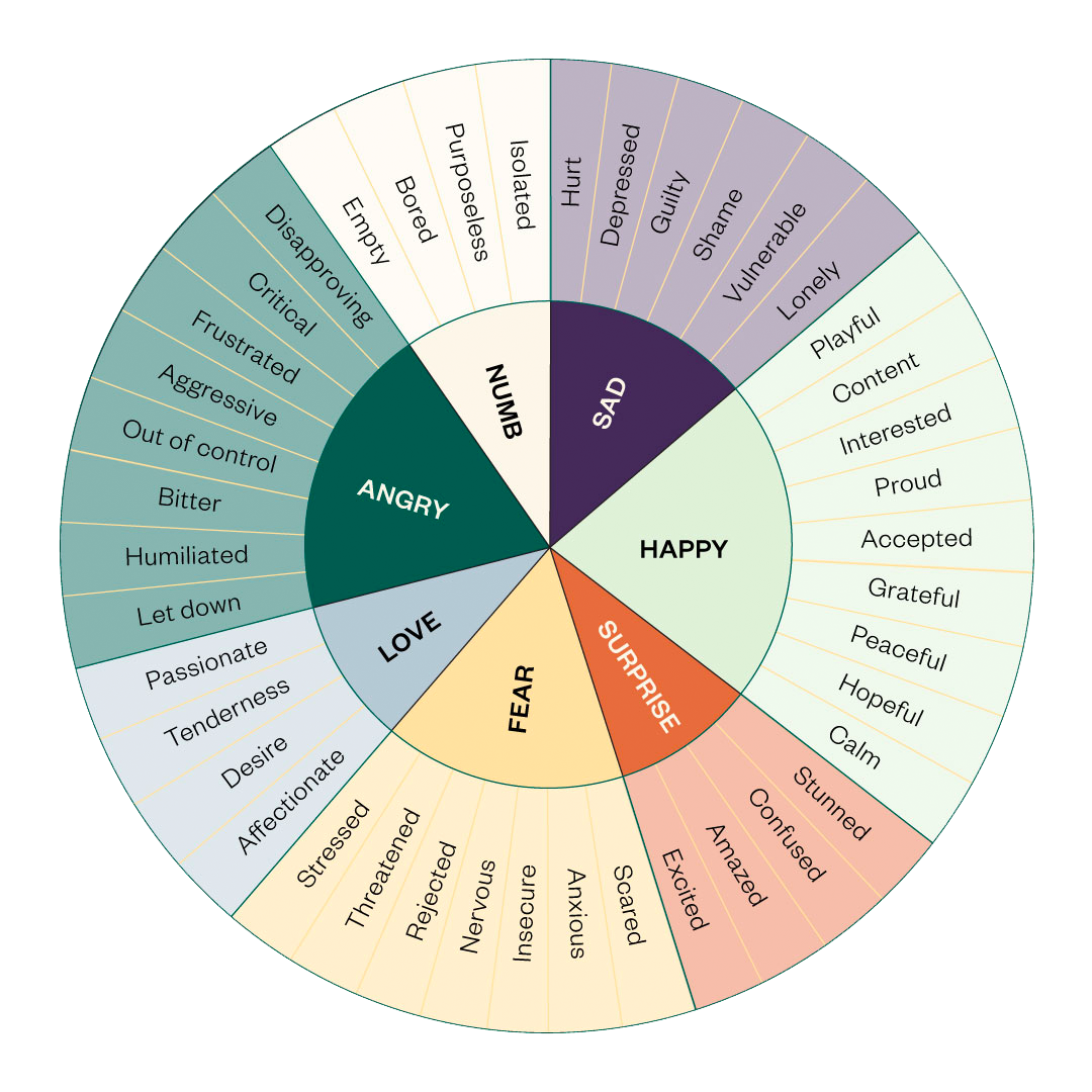 saprea support group emotion wheel