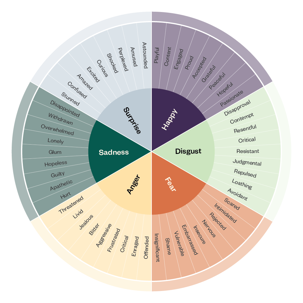 Graphic of the emotion wheel