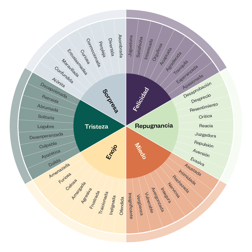 saprea support group emotion wheel